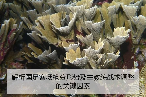 jie-xi-guo-zu-ke-chang-qiang-fen-xing-shi-ji-zhu-jiao-lian-zhan-shu-tiao-zheng-de-guan-jian-yin-su-2-610.jpg